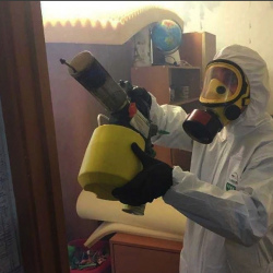 Уничтожение клопов в квартире. Клинцы